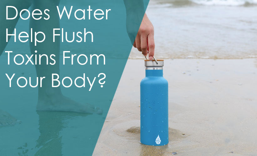 Does water help flush toxins from your body?