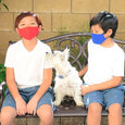 Elemental Soft Cotton 3D Mask For Kids, Back To School Pack